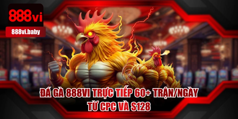 Đá Gà 888VI Trực Tiếp 60+ Trận/Ngày Từ Cpc Và S128
