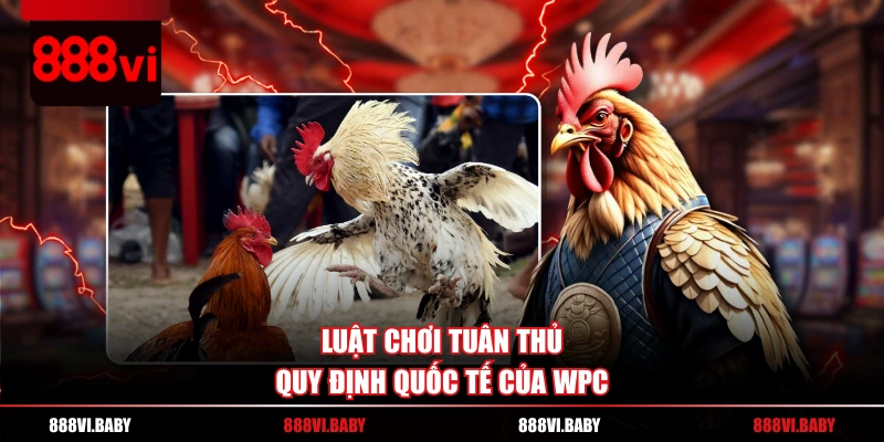 Luật chơi tuân thủ quy định quốc tế của WPC