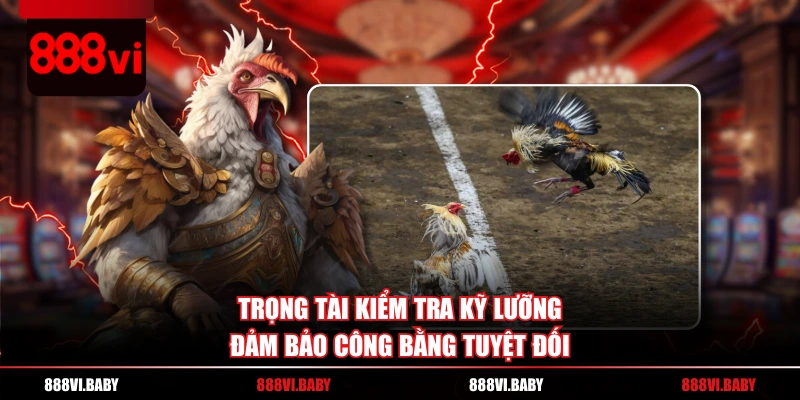 Trọng tài kiểm tra kỹ lưỡng, đảm bảo công bằng tuyệt đối